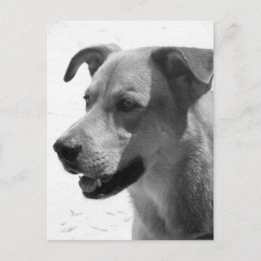 Gilbert Briefkaart (Voorkant)