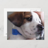 Gilbert Briefkaart (Voorkant / Achterkant)