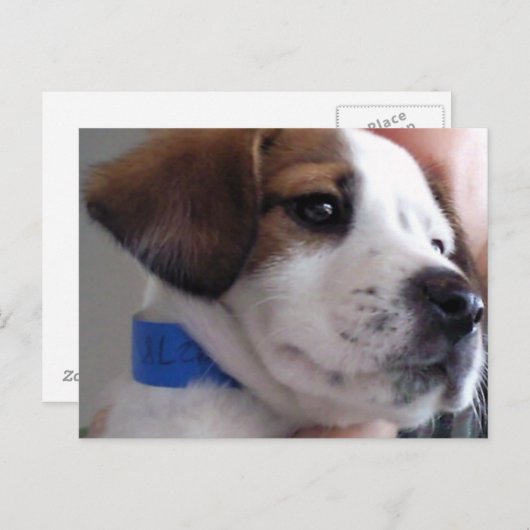 Gilbert Briefkaart (Voorkant / Achterkant)