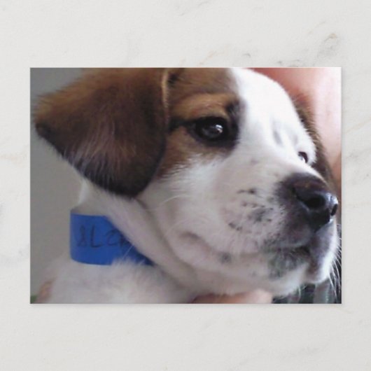 Gilbert Briefkaart (Voorkant)