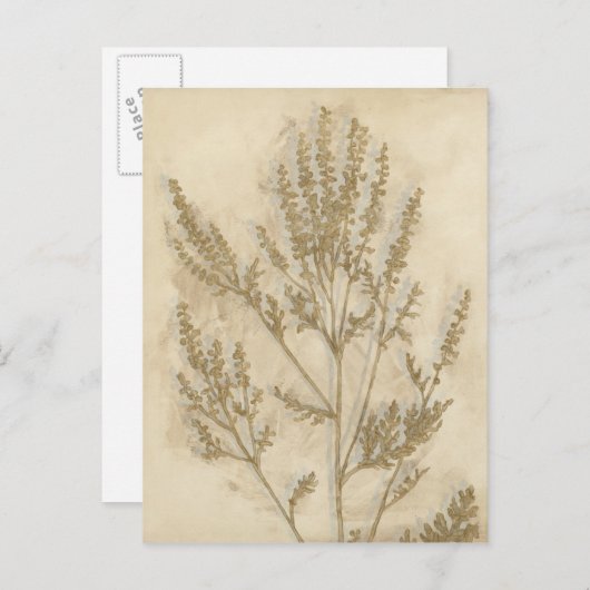 Gilded Foliage II Briefkaart (Voorkant / Achterkant)