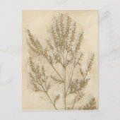 Gilded Foliage II Briefkaart (Voorkant)