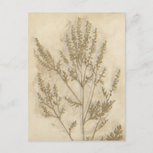 Gilded Foliage II Briefkaart (Voorkant)