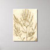 Gilded Foliage II Canvas Afdruk (Voorkant)