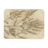 Gilded Foliage II Magneet (Horizontaal)