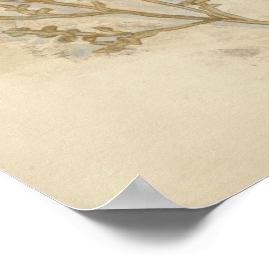 Gilded Foliage II Poster (Hoek)