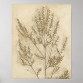 Gilded Foliage II Poster (Voorkant)