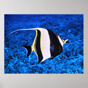 Gili Eilanden Moors Idool Poster