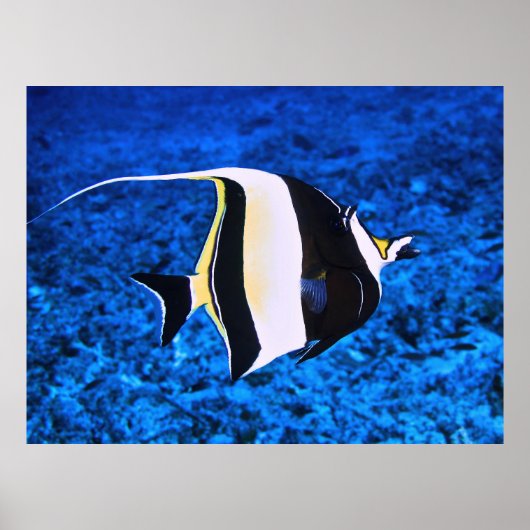 Gili Eilanden Moors Idool Poster (Voorkant)