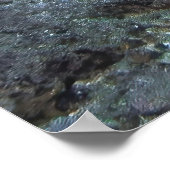 Gili Green Turtle Poster (Hoek)