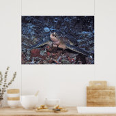 Gili Green Turtle Poster (Keuken)