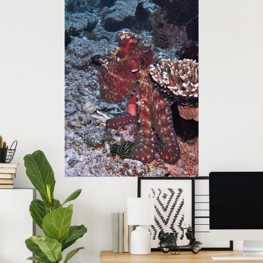 Gili Octopus Portrait Poster (Thuiskantoor)