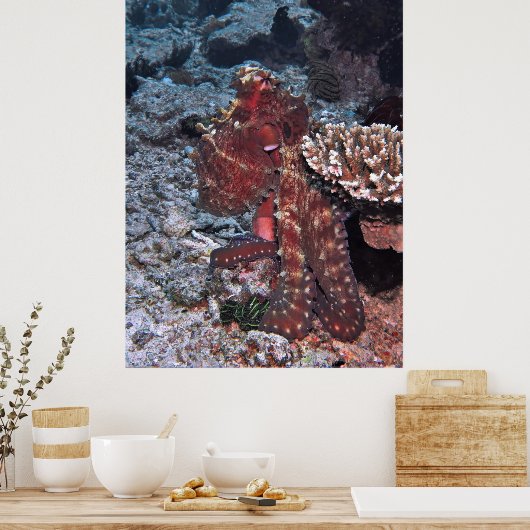 Gili Octopus Portrait Poster (Keuken)