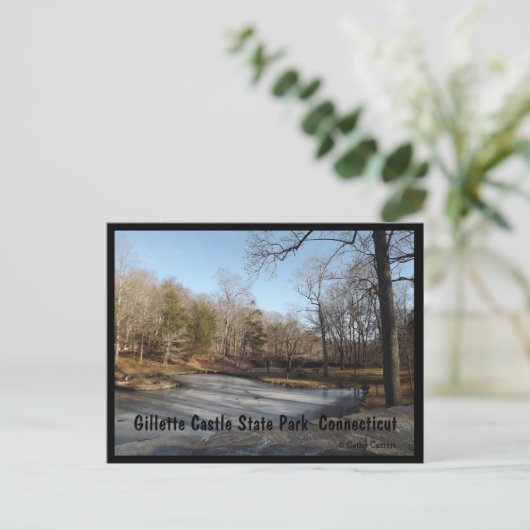 Gillette Castle State Park Connecticut Briefkaart (Staand voorkant)