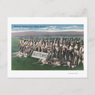 Gillette, WY - Waar de Antelope Roam Briefkaart
