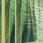 Gilligan's Island Behang | m3galleryStudio (Zoom)