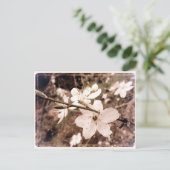 Gilroy, California, Briefkaart van mDarkPoet (Staand voorkant)