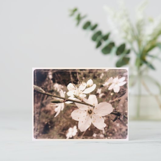 Gilroy, California, Briefkaart van mDarkPoet (Staand voorkant)