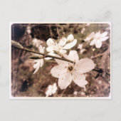 Gilroy, California, Briefkaart van mDarkPoet (Voorkant)