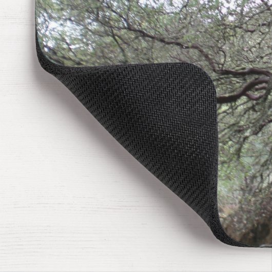 Gilroy Hot Springs - manzanita tree - mousepad Muismat (Hoek)