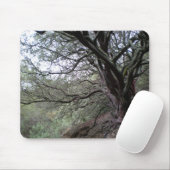 Gilroy Hot Springs - manzanita tree - mousepad Muismat (Met muis)