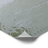 Gimme Fish.. NU Poster (Hoek)