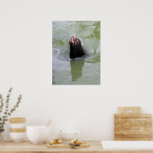 Gimme Fish.. NU Poster (Keuken)