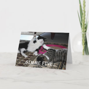 Gimme Five Kaart