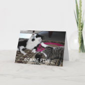 Gimme Five Kaart (Voorkant)