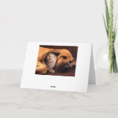 Gimme shelter. kaart (Achterkant)