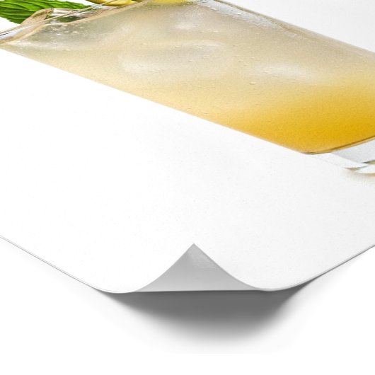 Gin Fizz Recept Poster (Hoek)