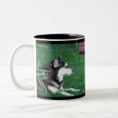 GINA TWEEKLEURIGE KOFFIEMOK (Links)