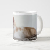 Ginger and White Kitten Grote Koffiekop (Voorkant rechts)