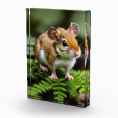Ginger Australian Hopping Mouse, fotoblok (Rechts)