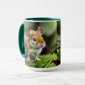 Ginger Australian Hopping Mouse, Mok (Voorkant links)