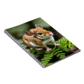 Ginger Australian Hopping Mouse, Notitieboek (Rechterzijde)
