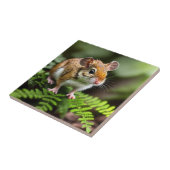 Ginger Australian Hopping Mouse Tegeltje (Zijkant)