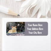 Ginger Boy Etiket (Insitu)