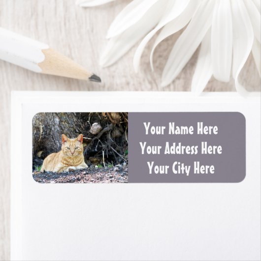 Ginger Boy Etiket (Insitu)