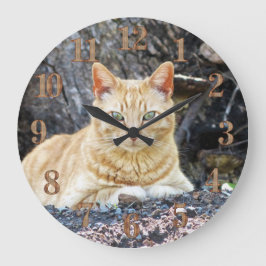 Ginger Boy Grote Klok