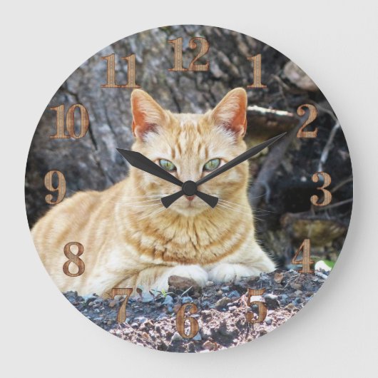 Ginger Boy Grote Klok (Voorkant)