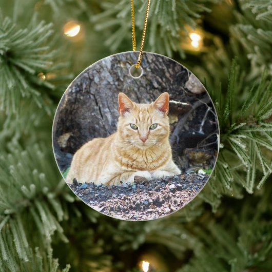Ginger Boy Keramisch Ornament (Boom)