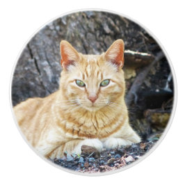 Ginger Boy Keramische Knop