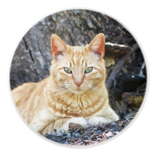 Ginger Boy Keramische Knop (Voorkant)