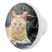 Ginger Boy Keramische Knop (Rechts)