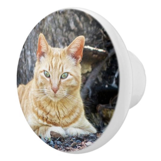 Ginger Boy Keramische Knop (Rechts)