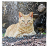 Ginger Boy Tegeltje (Voorkant)
