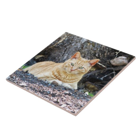Ginger Boy Tegeltje (Zijkant)