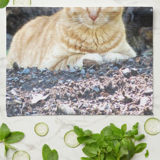 Ginger Boy Theedoek (Gevouwen)