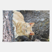 Ginger Boy Theedoek (Horizontaal)